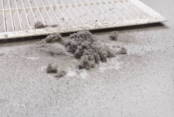 Best Air Duct Sanitizing Services  in Shippensburg, PA