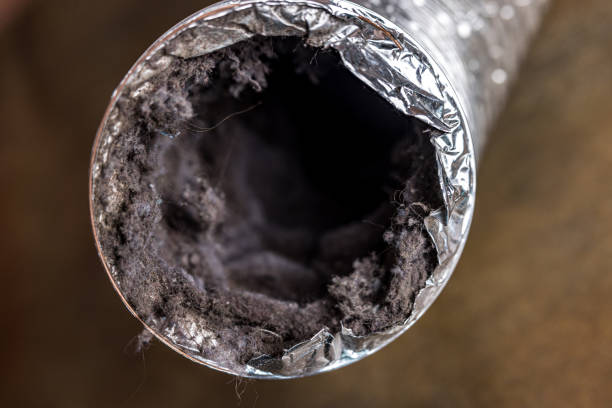 Best Affordable Air Duct Cleaning  in Shippensburg, PA